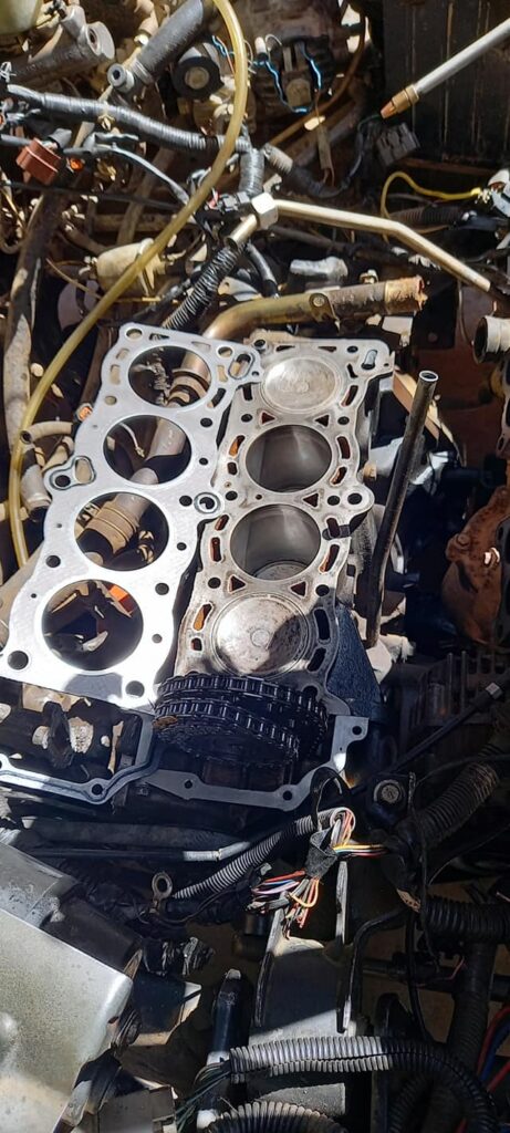 193299563_317420749952562_3055371807151071446_n