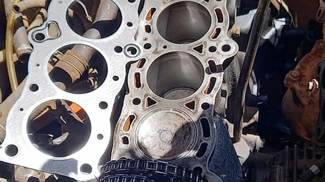 193299563_317420749952562_3055371807151071446_n