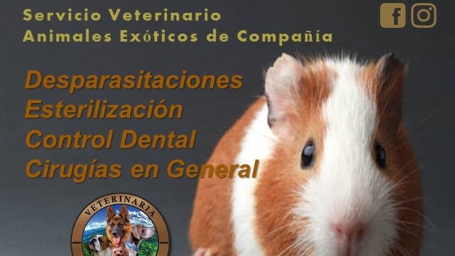 256559091_1259872514438791_3612787523687718808_n