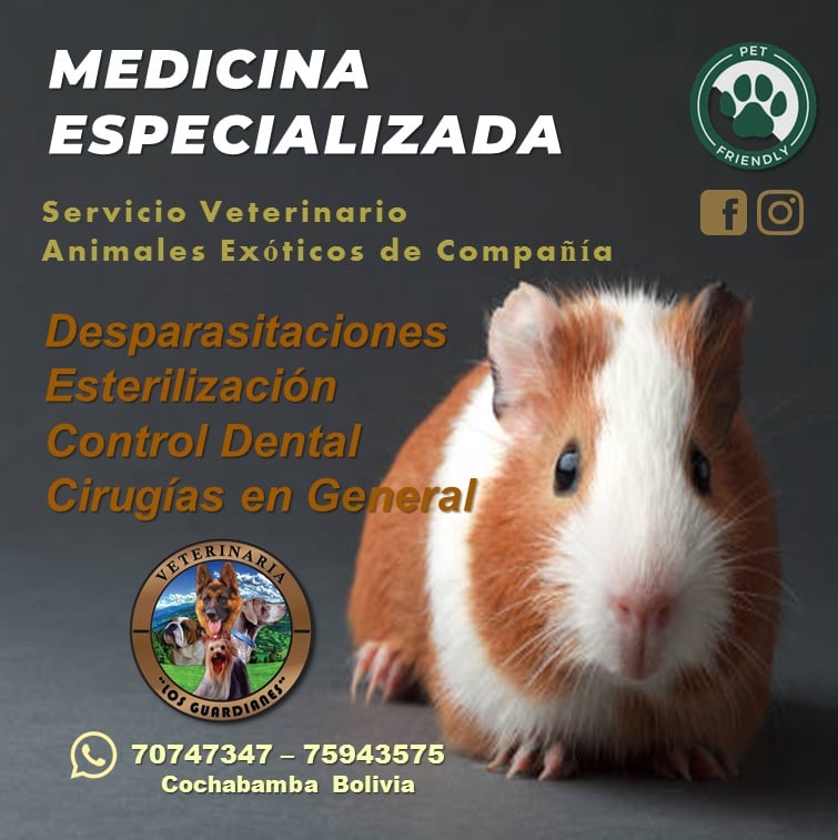 256559091_1259872514438791_3612787523687718808_n