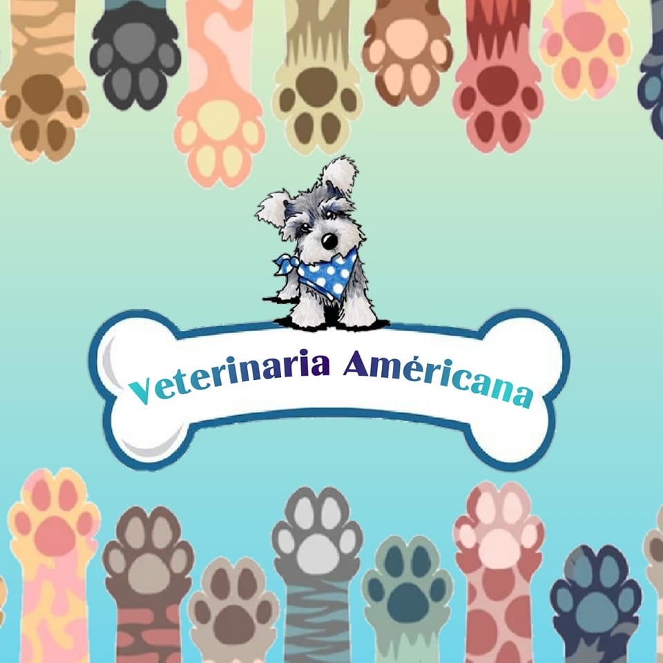Veterinaria Americana I