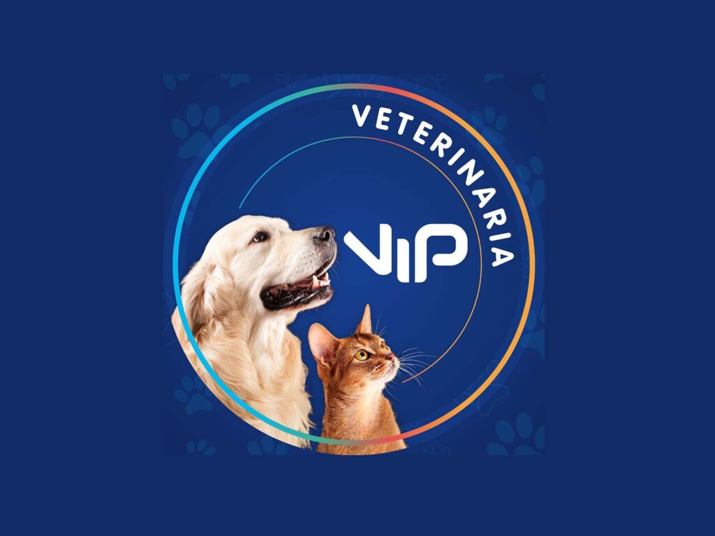 272167255_7002684639805583_4048388171623799000_n