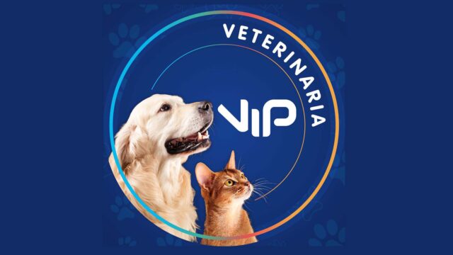 272167255_7002684639805583_4048388171623799000_n