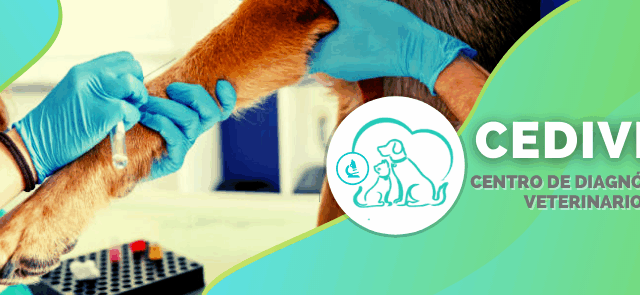 277569932_382221600580188_2557637260448650896_n