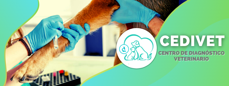 277569932_382221600580188_2557637260448650896_n