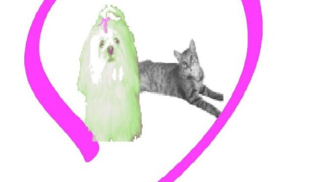 278625005_109875865044127_1043049737921422746_n