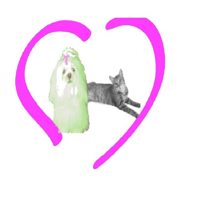 278625005_109875865044127_1043049737921422746_n