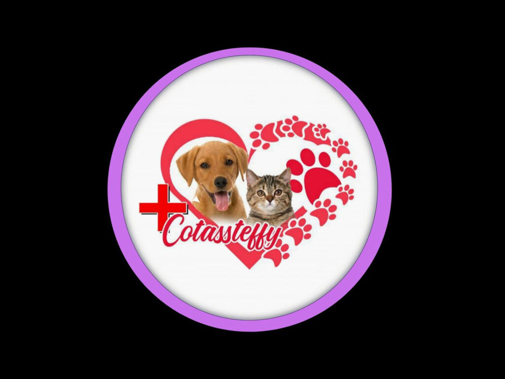 295404878_102717482533941_2997842380795710140_n