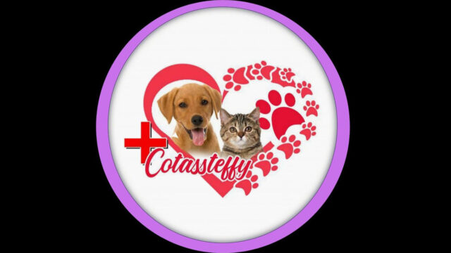 295404878_102717482533941_2997842380795710140_n