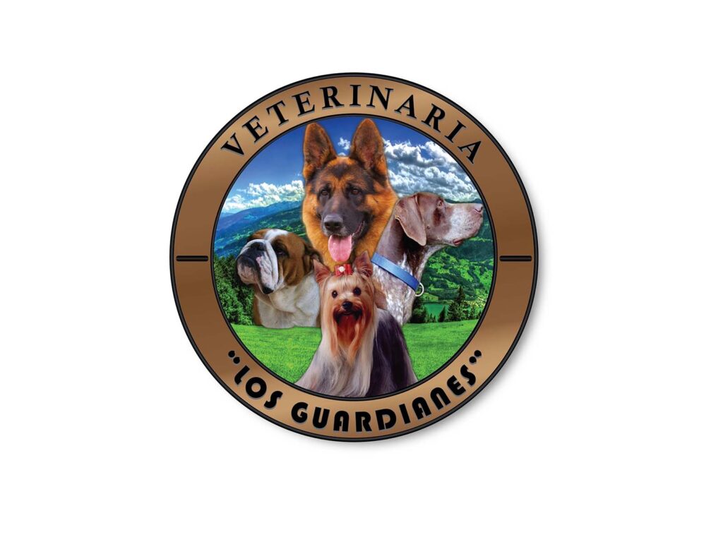 298450581_448526850624874_4824887795816860832_n