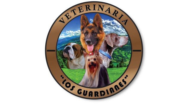 298450581_448526850624874_4824887795816860832_n