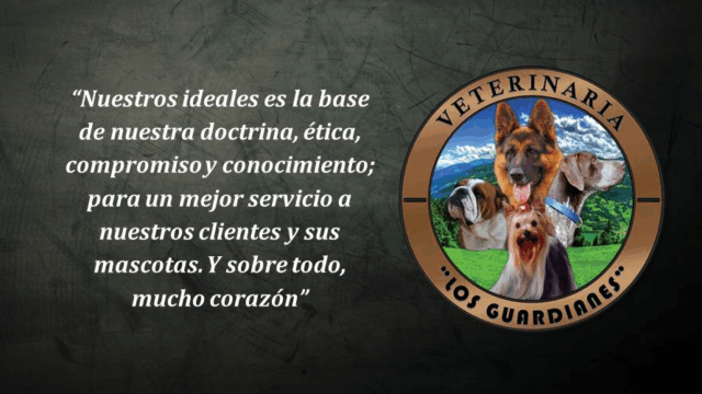 298531226_448526853958207_2002904436188091139_n