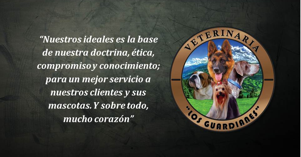 298531226_448526853958207_2002904436188091139_n