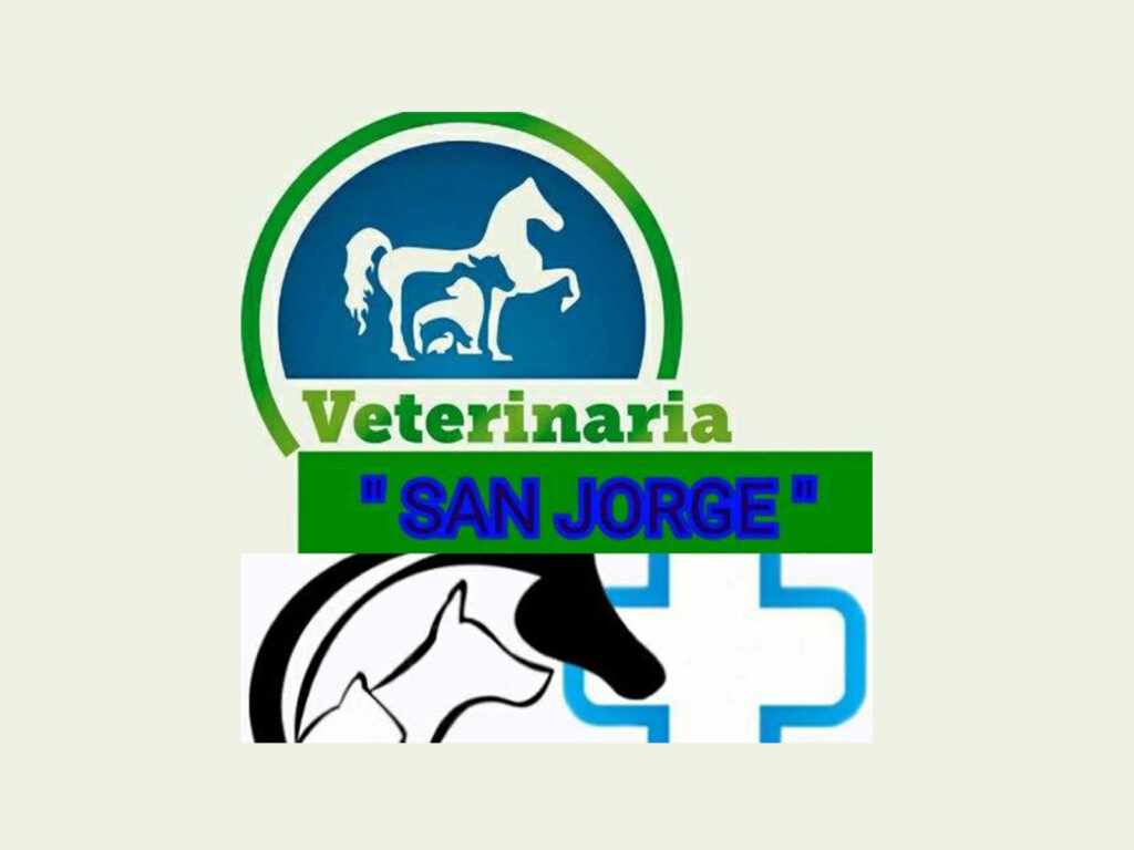 299904818_439404371537840_6198912747784891035_n