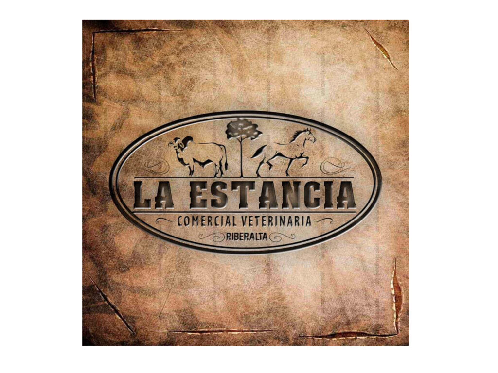 300026836_481990223936328_7010547617395881279_n