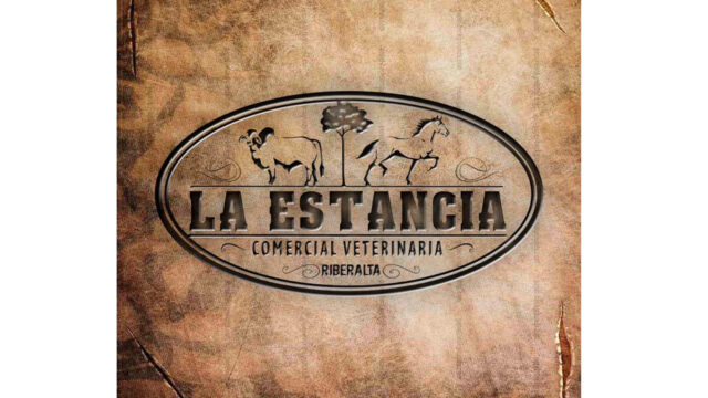 300026836_481990223936328_7010547617395881279_n