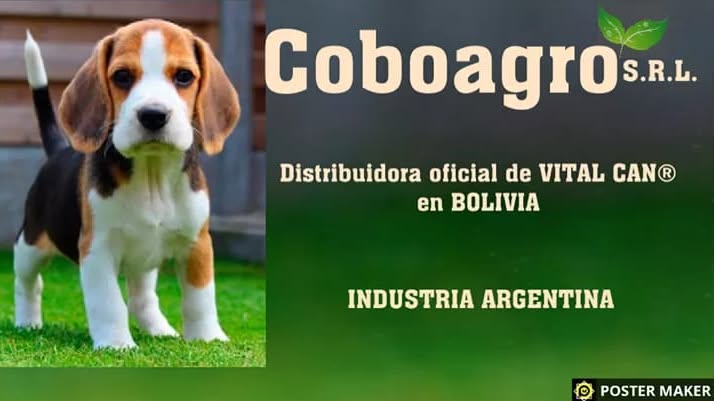 300796250_483715453759708_8178803063871046860_n