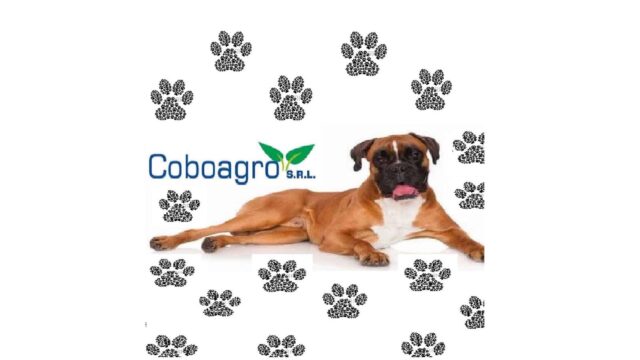 300857117_483715457093041_2481890865657267676_n