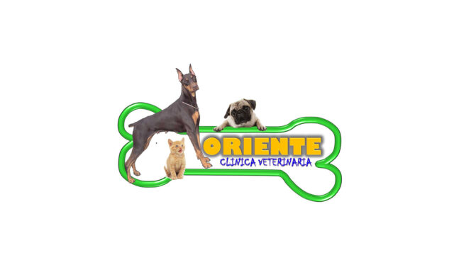 302014356_584023219970083_8724411734237905499_n