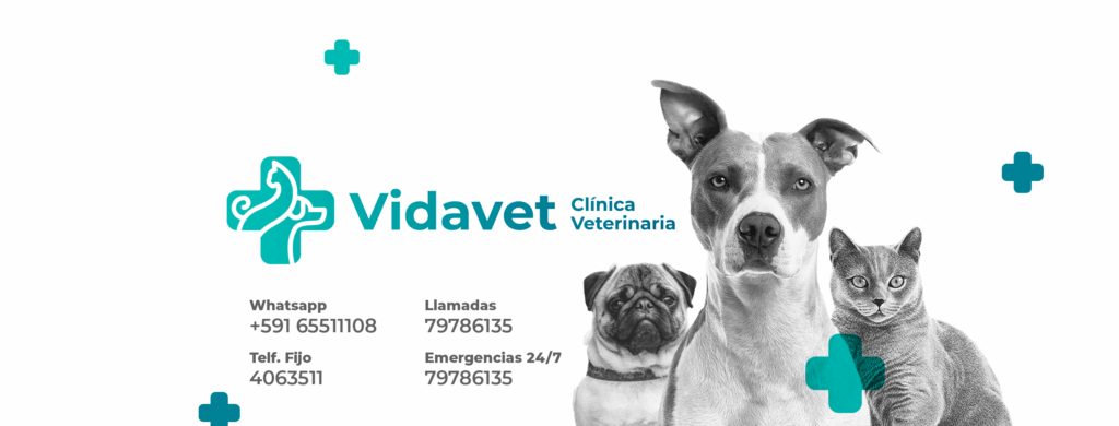 305630803_1970284203165158_5054804037452624257_n