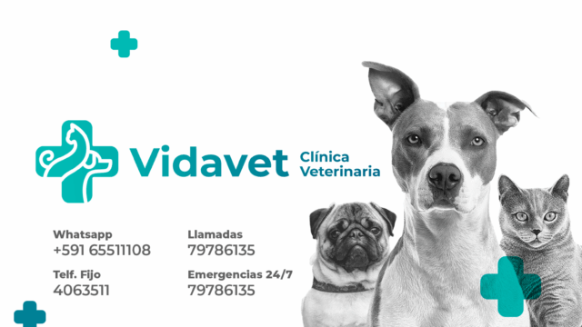 305630803_1970284203165158_5054804037452624257_n