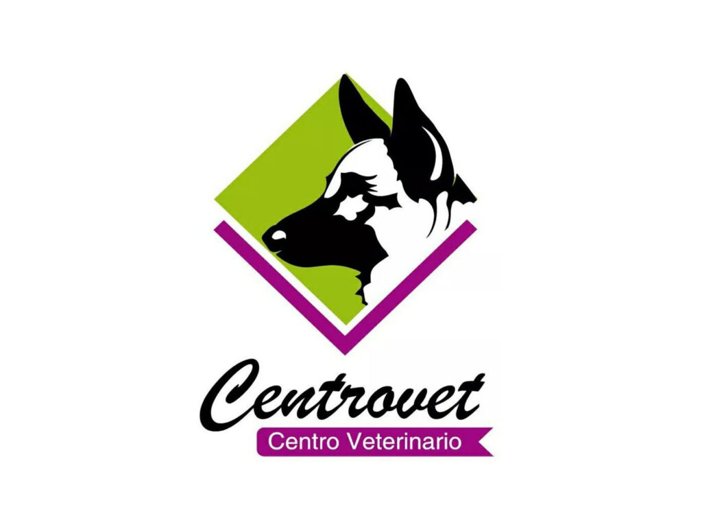 305643897_495586325905647_1412763401698715071_n