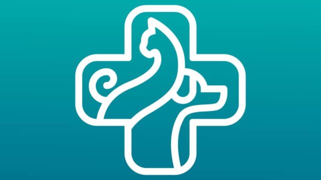 305654231_1970263563167222_8170633798614454270_n