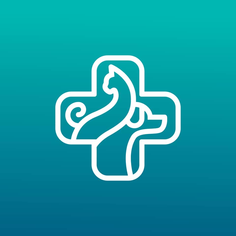 305654231_1970263563167222_8170633798614454270_n