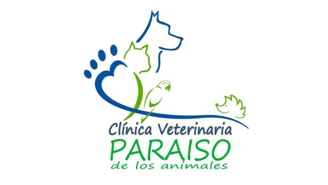 305665753_519387960187423_6180153580743617738_n