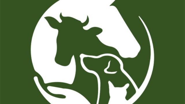 314956771_180987854590318_4029741096301731552_n