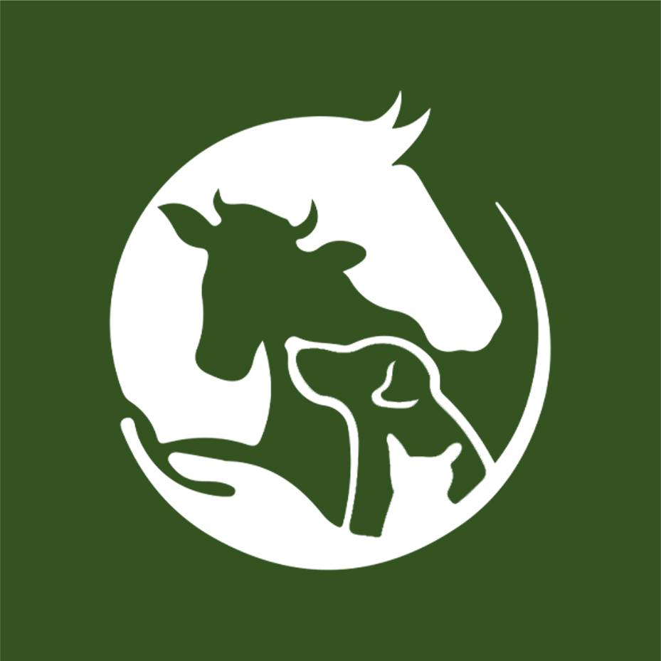 314956771_180987854590318_4029741096301731552_n