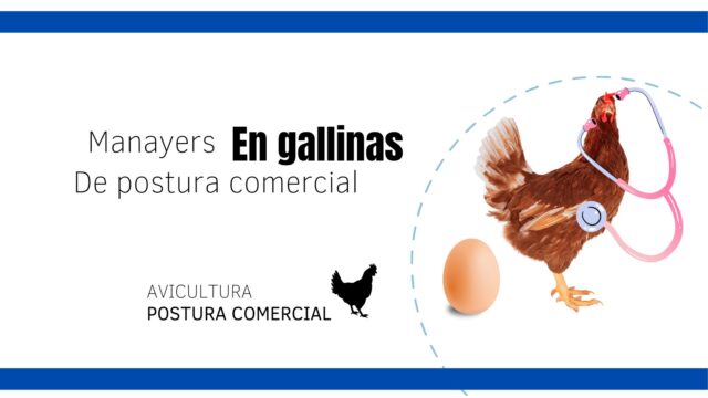 324503778_1680284935736162_3585250413339904253_n