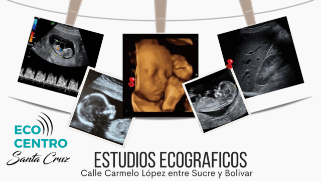 354461191_1338115283719590_5061086581283268341_n