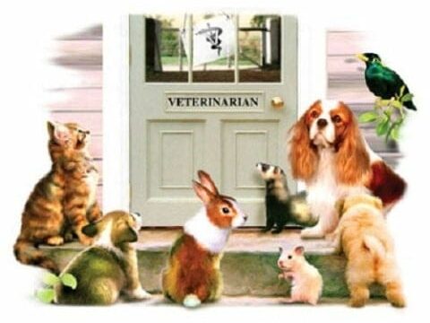 358678782_1185627122317063_5023851303349070665_n