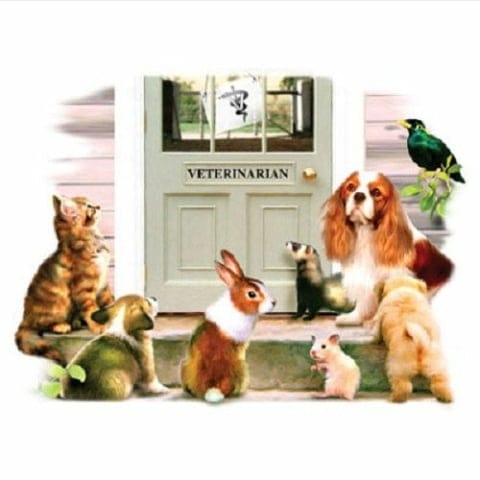 358678782_1185627122317063_5023851303349070665_n