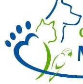 36652453_426971754450399_1909757929720905728_n