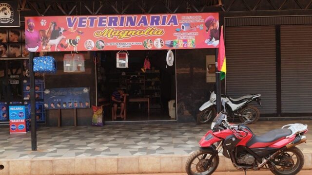 367717722_122105285300003138_2655825138494484402_n