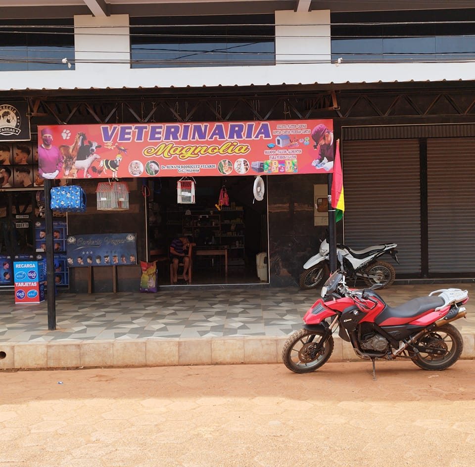 367717722_122105285300003138_2655825138494484402_n