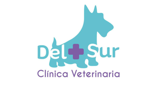 391617167_348349351053234_6696860536639661037_n