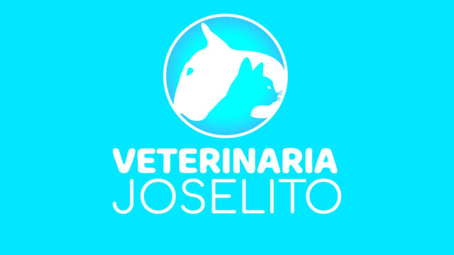 414931010_357262593722490_5549135331483373024_n