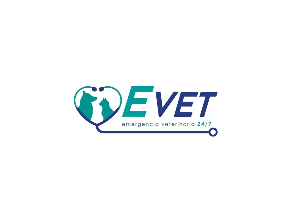 430159642_918101453656007_4125138546755394389_n