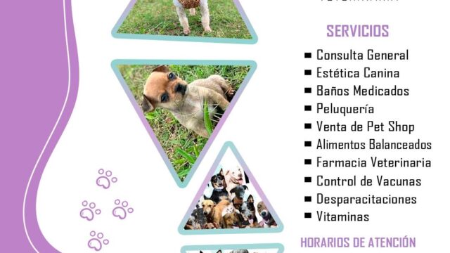 432773714_716772677326813_6989848233264162401_n