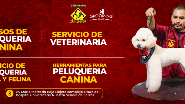 450426708_984189250379091_4808734373230328076_n