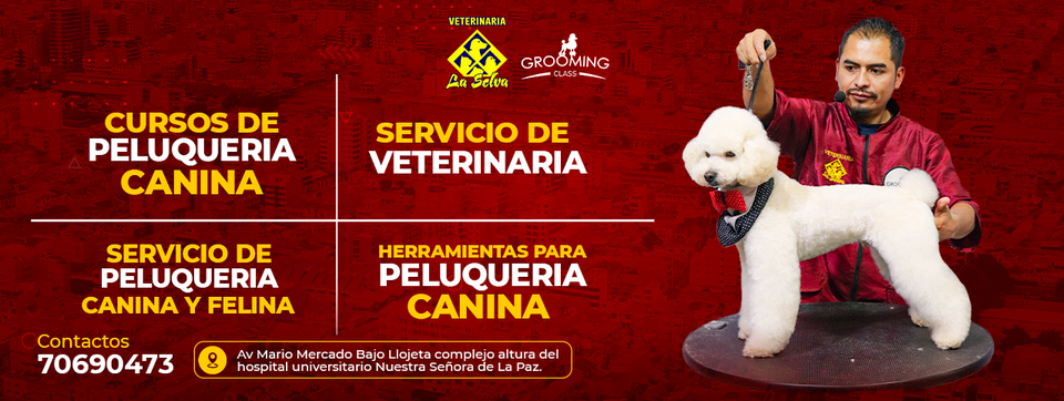 450426708_984189250379091_4808734373230328076_n