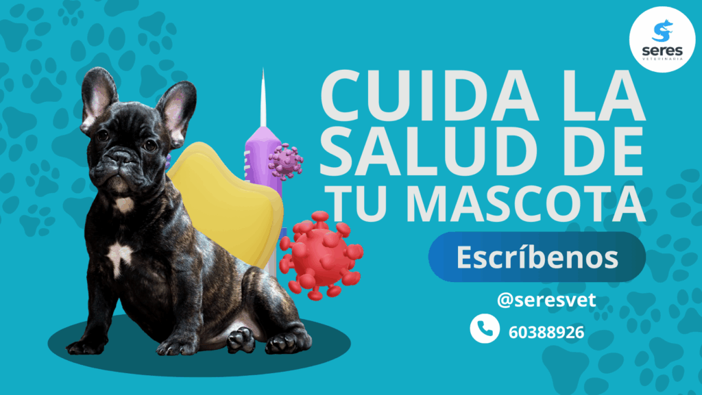 452234307_1020737820059559_4259325077639628643_n