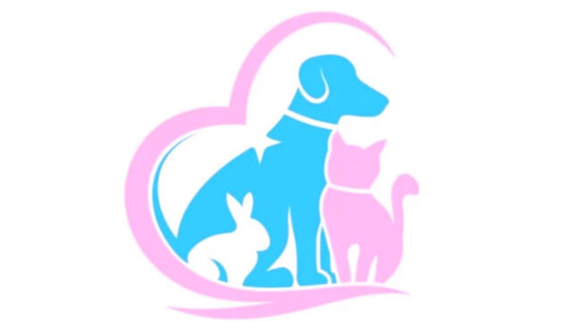 452268409_1769058740291125_3455491051609852720_n