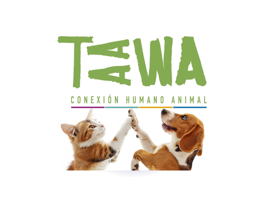 Centro TAAWA