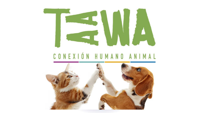 460244815_1048220813558808_1195626813088315198_n