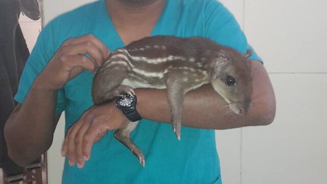 464632876_27671509439129583_7959520438022540459_n