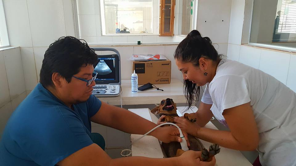 465376745_27768989666048226_2251483454141088170_n